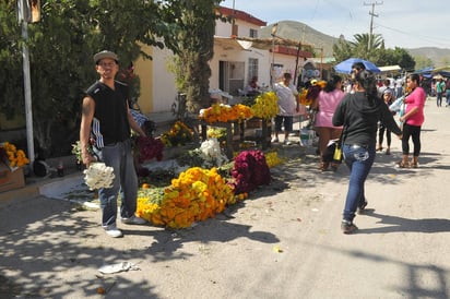 Afectaciones. Productores de flores sufrieron la pérdida de 20 hectáreas de cultivo por lluvias.