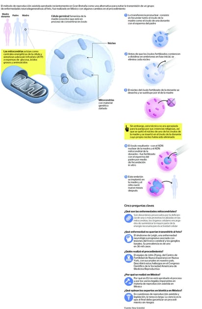 Genética, reproducción asistida y bioética