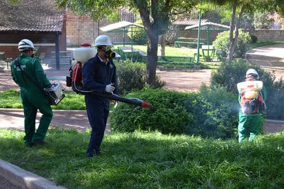 Refuerzan acciones. Con las diferentes acciones de prevención del dengue, se evita que la situación llegue a un punto más crítico. (ARCHIVO)