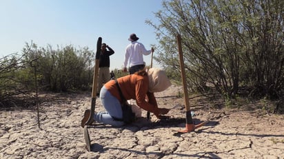 Realizan búsquedas. Grupo Vida manifestó que las indagaciones iniciaron en abril del 2015. (EL SIGLO DE TORREÓN)