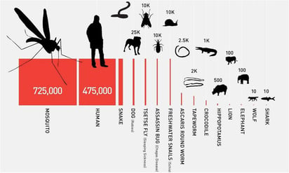 Cabe señalar que Gates basó su infografía en datos de la Organización Mundial de la Salud y de la Organización de Alimentos y Agricultura de Naciones Unidas, la FAO. (ESPECIAL)