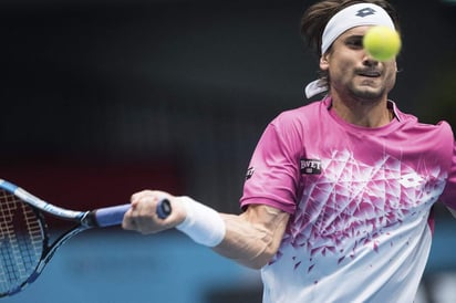 David Ferrer.