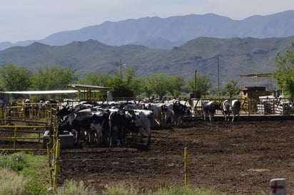 Cambio. Sólo un cambio puede evitar que los productores de leche se sumen a expresiones de descontento que se registra en el país.