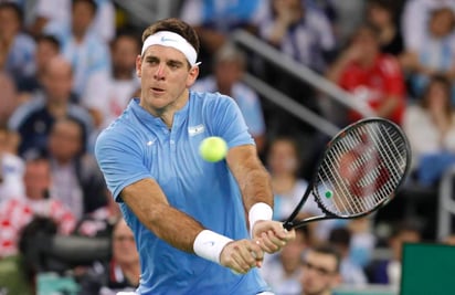 Juan Martín del Potro logró igualar la serie luego de vencer a Ivo Karlovic. (EFE)