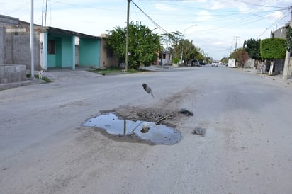 (EL SIGLO DE TORREÓN)