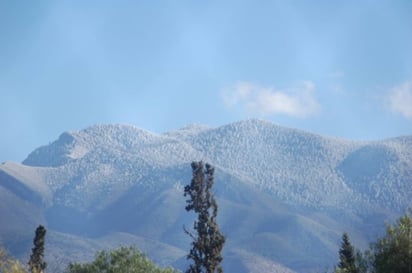 Protección. El objetivo es plantar unos ocho mil pinos a lo largo de 18 kilómetros en la Sierra de Zapalinamé.