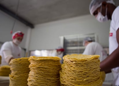 Los empresarios agrícolas como los de Sinaloa o los pequeños productores en el Valle del Mezquital, tendrán dificultades para recuperar la inversión realizada y obtener una justa ganancia por producir alimentos para México. (ARCHIVO) 

