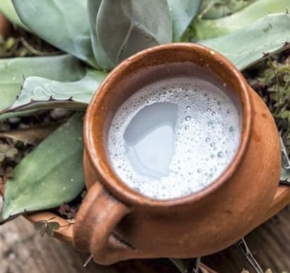 El especialista agregó que los agaves son un recurso endémico con los que se ha hecho poco; por ello, la fermentación del pulque es considerada un alimento con inulina y bacterias lácticas que son beneficiosas para el organismo. (ESPECIAL)