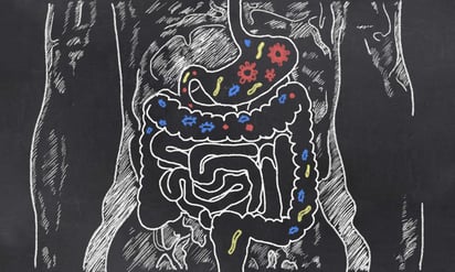 Científicos advierten que el uso de antibióticos puede favorecer la depresión. (INTERNET)