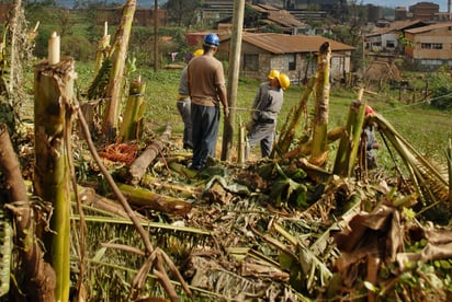 El costo total del proyecto asciende a 50 millones de dólares, de los que FIDA aporta 11.9 millones en forma de préstamo. (ESPECIAL)