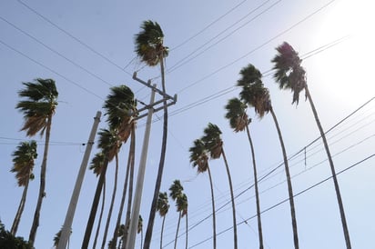 Pendiente. El Ayuntamiento de Torreón espera actualizar la información sobre áreas verdes, al restar el impacto de las palmas. (EL SIGLO DE TORREÓN)