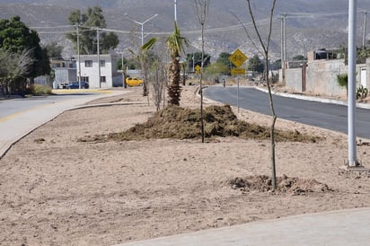 Inconformes. Así es como luce la Línea Verde frente a la colonia Las Julietas en Torreón: sin pasto, ni juegos, ni aparatos para ejercitarse y con fallas en alumbrado. (Fernando Compeán)