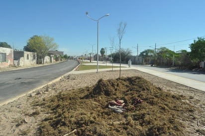 Labores. El director de Obras Públicas aseguró que se dignificará el tramo de 200 metros que ya no se contempló.