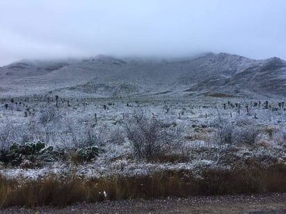 Se tiñe de blanco. Protección Civil reportó la nevada en Múzquiz.