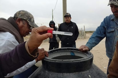 En brigadas. Salud Municipal de Matamoros ya trabaja para
evitar el brote de los mosquitos tipo Aedes Aegypti.
