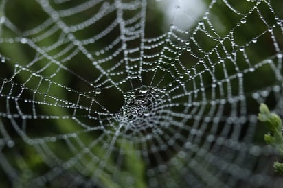 Los investigadores dicen que podrían producir el material en cantidades industriales. (INTERNET)