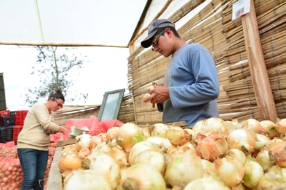 Estados Unidos, es el destino de 78.5% de las exportaciones de productos agroalimentarios mexicanos,