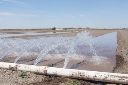 Estancado. El problema del adeudo histórico de los productores laguneros con la CFE tiene más de 10 años. (ARCHIVO)