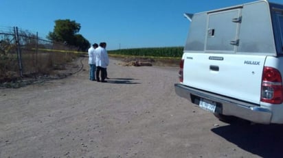 Suman 7 muertos en jornada de violencia en el estado. (TOMADA DE EL DEBATE)