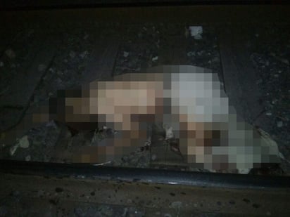 El occiso tenía las dos piernas mutiladas y su cuerpo se encontraba en medio de las vías del ferrocarril. (EL SIGLO DE TORREÓN)