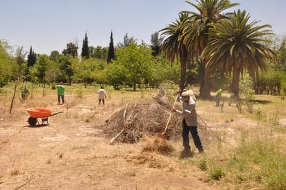 Mantenimiento. Sigue mantenimiento y reforestación del área verde Vivero Forestal Lerdo, donde personas se ejercitan.