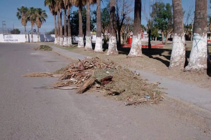 (EL SIGLO DE TORREÓN)