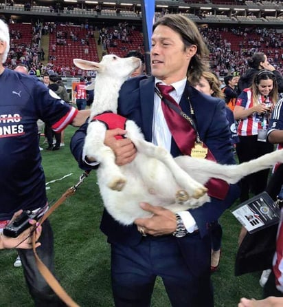 Matías Almeyda cargando una chiva. 