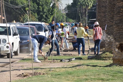 Día de la Tierra. Arrancó la reforestación con 150 árboles y arbustos en el perímetro de la Alameda Zaragoza, que se vio muy afectada con el retiro de las palmas por el amarillamiento letal. (FERNANDO COMPEÁN) 