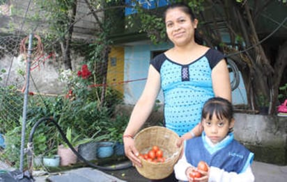 Los huertos de traspatio son sitios agrícolas afines con el entorno, que combinan funciones productivas asociadas al consumo familiar con finalidades sociales, económicas y ambientales. (ESPECIAL)