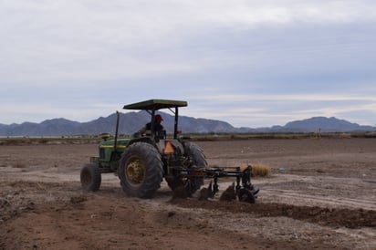 Conocimiento. Representante de los pequeños productores consideró que Gobiernos desconocen la actividad agropecuaria. (ARCHIVO)