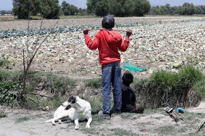 Se extiende. Utilizar a niños y jóvenes como halcones para este delito no sólo ocurre en Puebla.