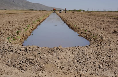 Sin desvíos. Los usuarios del módulo IX están recibiendo completa su dotación de agua para regar sus parcelas.