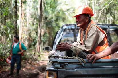 La Reserva de la Biosfera Maya abarca más de 2 millones de hectáreas de selva tropical de tierras bajas y montañosas, y es conocida por sus niveles particularmente altos de biodiversidad, hogar de jaguares, pumas, ocelotes, monos aulladores y tortugas de agua dulce, entre muchas otras especies. (EFE)