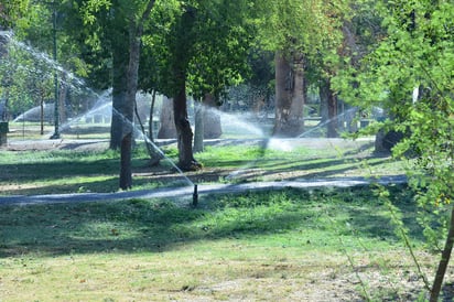 Bosque. Aunque la bomba de la noria ya fue instalada, hasta ayer se encontraba a  prueba. (FERNANDO COMPEÁN)