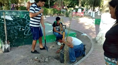 El titular de la dependencia, Gustavo Acosta Vázquez informó que de enero a la fecha se han visitado colonias, escuelas y comunidades rurales, donde se han entregado distintas variedades de árboles que se adaptan al clima de esta región. (EL SIGLO DE TORREÓN)