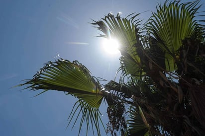 Tragedia. La semana pasada se registró el deceso de un adulto ante las altas temperaturas registradas en el municipio de Guerrero.