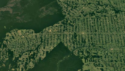 El proyecto 'Eu sou amazonia' (yo soy la Amazonía) literalmente 'captura' la complejidad de la selva en la que se produce el 20 % del oxígeno del planeta y se desarrollan cadenas agrícolas como las del cacao, castaña de Pará y açaí, algunas de las frutas exóticas de la región. (ESPECIAL)