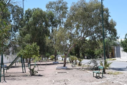 Otra situación es que las jardineras donde están algunos de dichos árboles están muy deterioradas, por lo que solicitan arreglos en ese aspecto así como en la atención a los andadores, los cuales no tienen cemento ni adoquín, sino tierra suelta. (EL SIGLO DE TORREÓN)