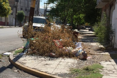 Molesta montón de basura