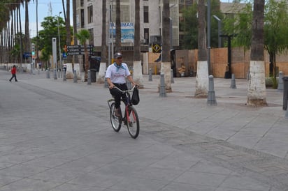 Ven necesario que los diferentes órdenes de gobierno den seguimiento a estos puntos legislativos para su adecuada implementación. (EL SIGLO DE TORREÓN)