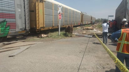 El accidente ocurrió en el entronque de Gregorio García. (EL SIGLO DE TORREÓN)  