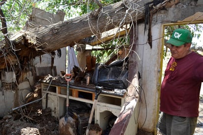 Derrumbe. Lo sorprendió la lluvia y un árbol en su techo, que se derrumbó cuando se disponía a dormir en su casa de Lerdo.