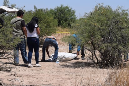 Atraso. Conavim no ha publicado el diagnóstico de violencia de género elaborado en municipios de La Laguna de Durango. (ARCHIVO)