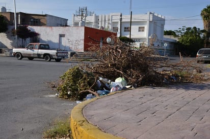 Piden limpiar camellón