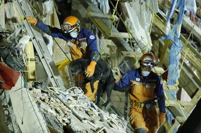 En este mismo lugar, han sido rescatadas con vida siete personas más que fueron canalizadas a diferentes hospitales de la Ciudad de México. (EFE)