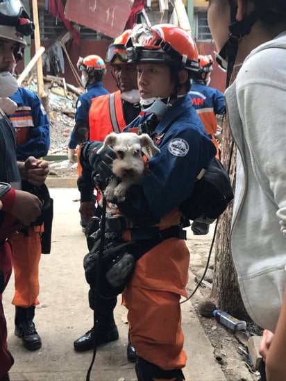 Admirados. Los rescatistas japoneses dieron muestras de su entrega y su disciplina. (TWITTER)