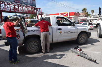 Se disparan. Empiezan a incrementarse los casos de dengue en municipios de La Laguna de Durango, según Secretaría de Salud. (ARCHIVO)