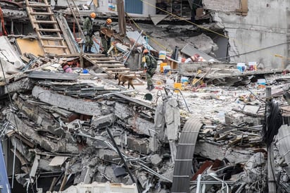 Labor. Voluntarios españoles, israelíes, militares, scouts y topos trabajan en el rescate del edificio de Álvaro Obregón 286. (EL UNIVERSAL)