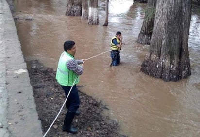 Las primeras versiones del hecho indican que sus propios amigos lo aventaron al agua mientras bebían alcohol. (ESPECIAL)

