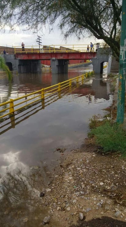 Los sectores más afectados fueron El Refugio, Nueva Los Álamos, Villa Nápoles, Carlos Herrera, Ampliación Brittingham, El Amigo, Bugambilias, Rebollo Acosta, Tierra Blanca, Tierra y Libertad, así como Santa Rosa y la zona centro. (EL SIGLO DE TORREÓN)